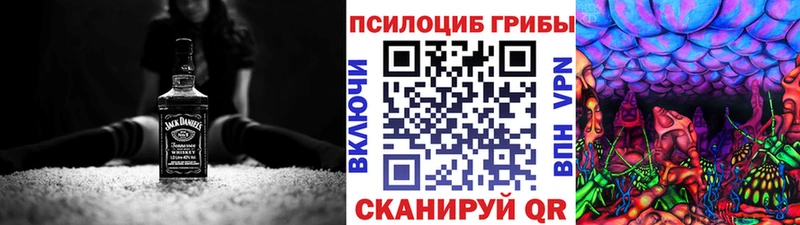 Галлюциногенные грибы Psilocybine cubensis  Рошаль 